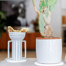 Dessous De Verre - 2 Coloris