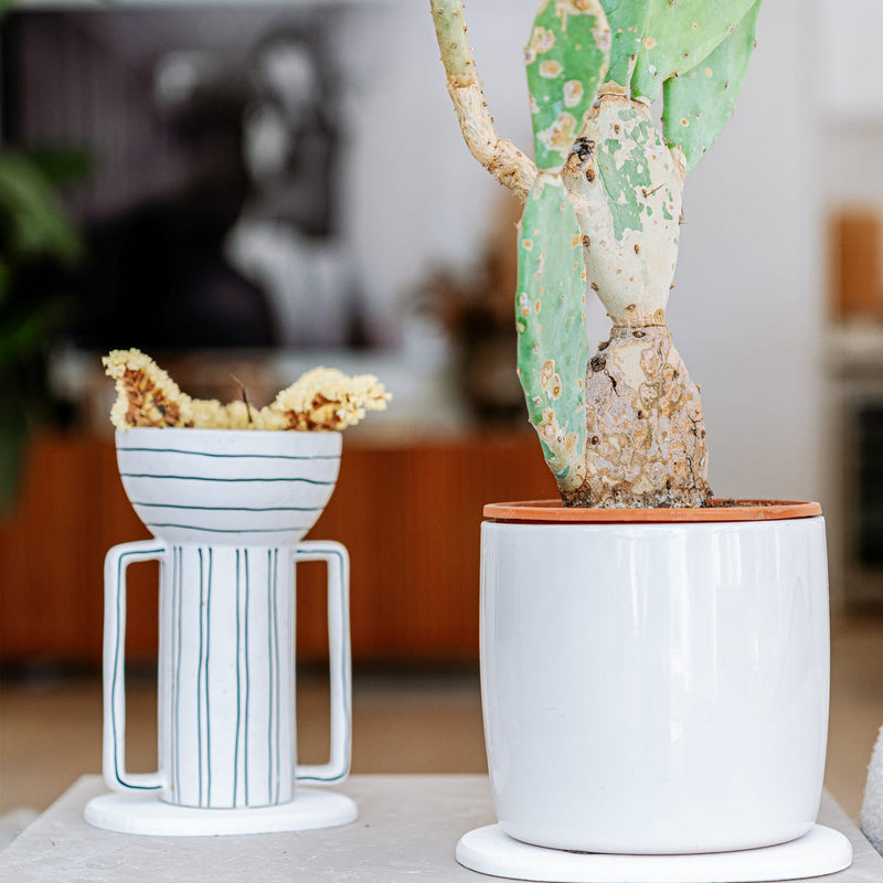 Dessous De Verre - 2 Coloris