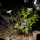 Solar Beacon - 4X Lucenty