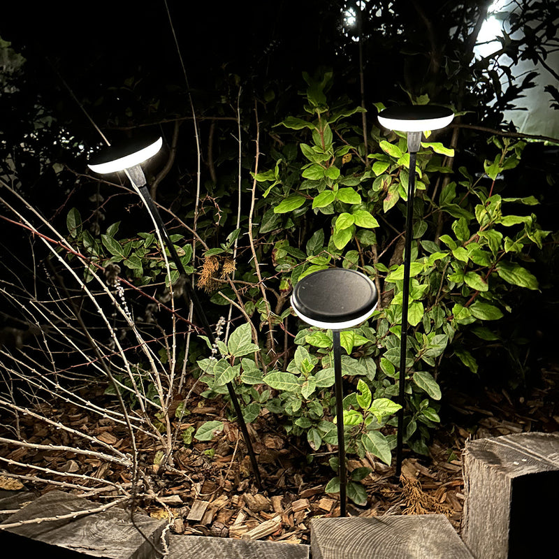 Solar Beacon - 4X Lucenty