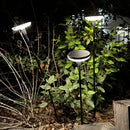 Solar Beacon - 4X Lucenty