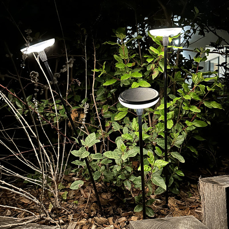 Solar Beacon - 4X Lucenty