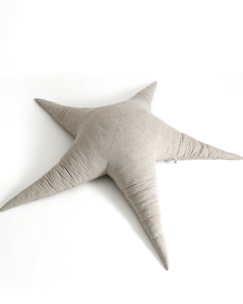 The Starfish