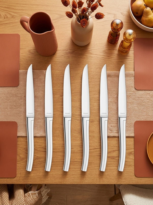 Aladin - Set of 6 Steak Knives - Stainless Steel - Inox