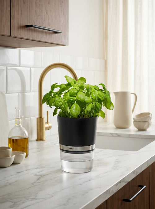 Botanico - Aromatic Herb Pot - Black/Transparent
