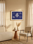 Anna Atkins - Cyanotype British Algae Ensemble D'Algues - Risographie
