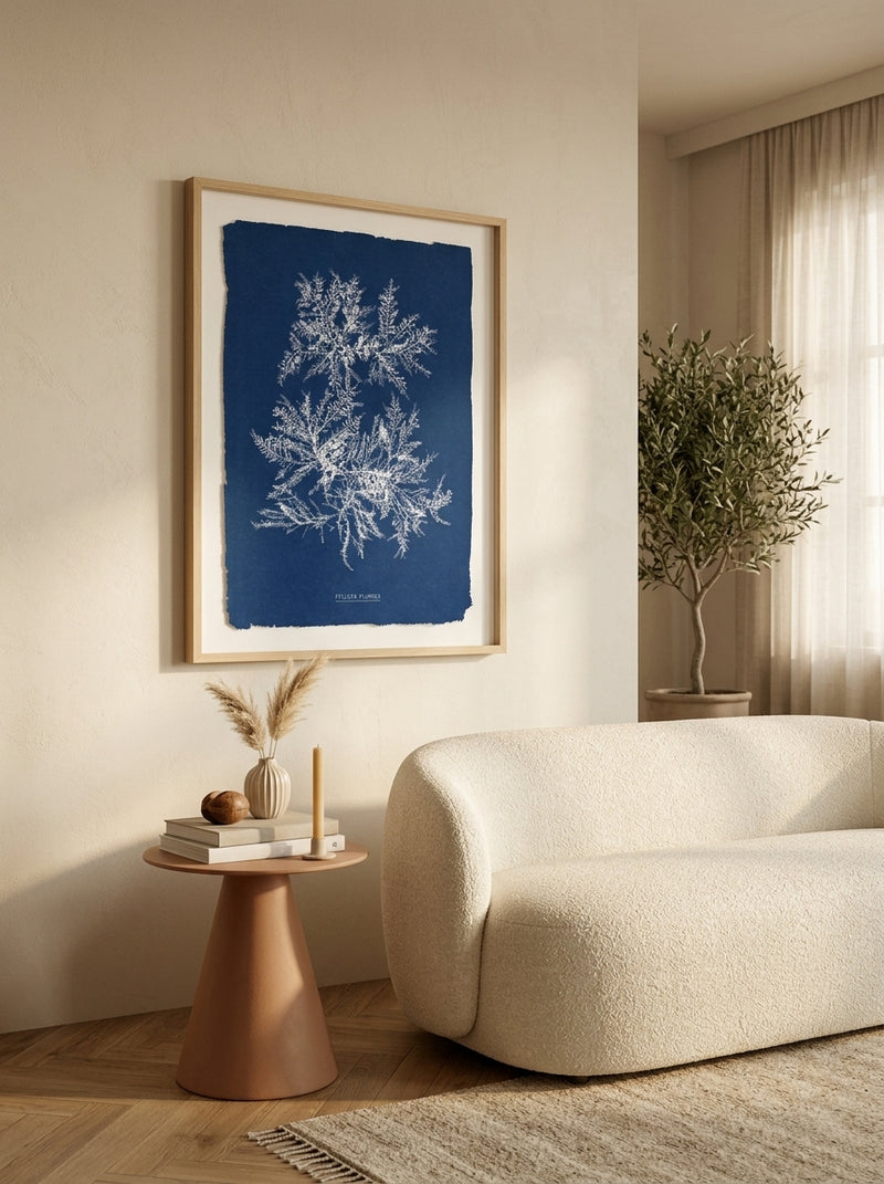 Anna Atkins - Cyanotype British Algae Ptilota - Risographie