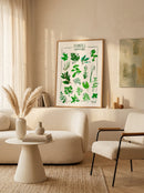 Maud Peloq - Plantes Aromatiques