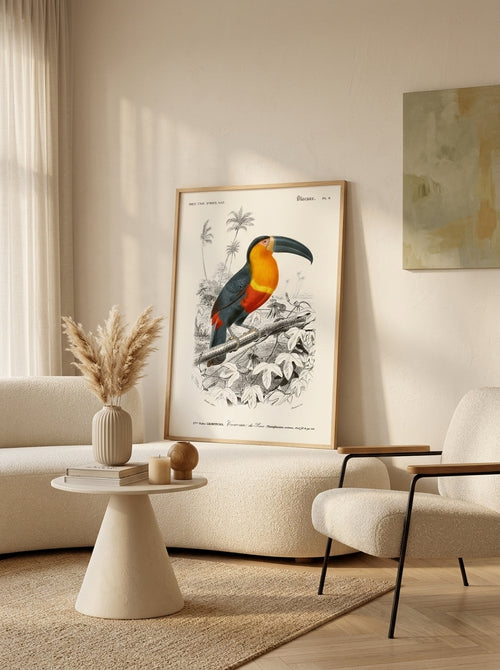 Salam Editions - Toucan