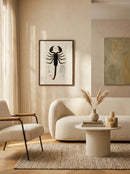 Sciences Naturelles - Scorpion