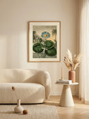 Sciences Naturelles - Waterlily