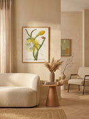Sciences Naturelles - Cereus