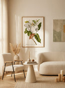 Sciences Naturelles - Magnolia