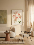 Sciences Naturelles - Orchidée Epidendrum Rose