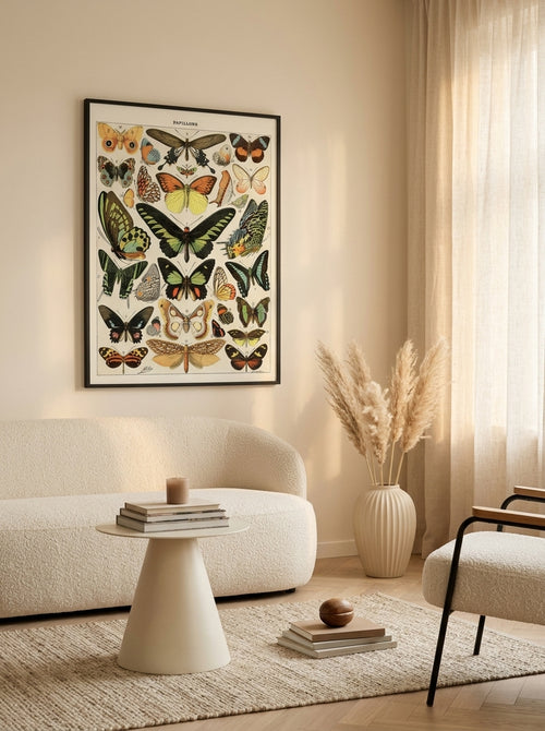 Sciences Naturelles - Papillons Exotiques