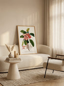 Sciences Naturelles - Plumeria