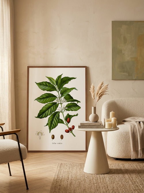 Sciences Naturelles - Café