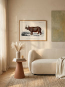 Sciences Naturelles - Rhinocéros
