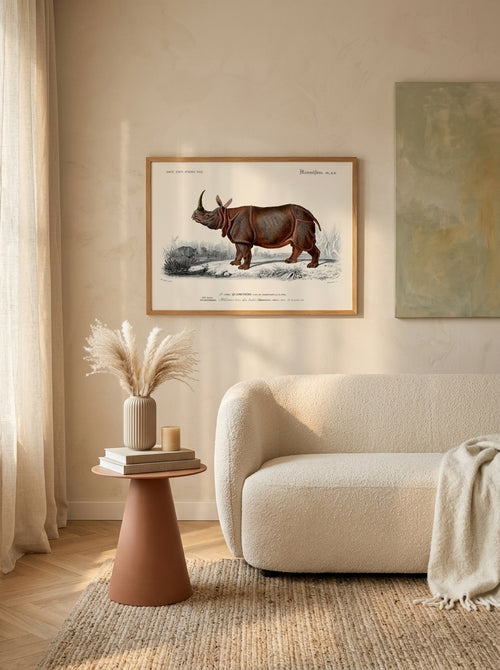 Sciences Naturelles - Rhinocéros