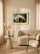 Sciences Naturelles - White Heron