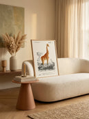 Sciences Naturelles - Girafe