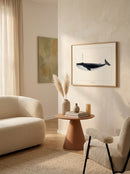 Sciences Naturelles - Baleine Bleue