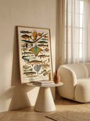 Sciences Naturelles - Millot,poissons Goujon