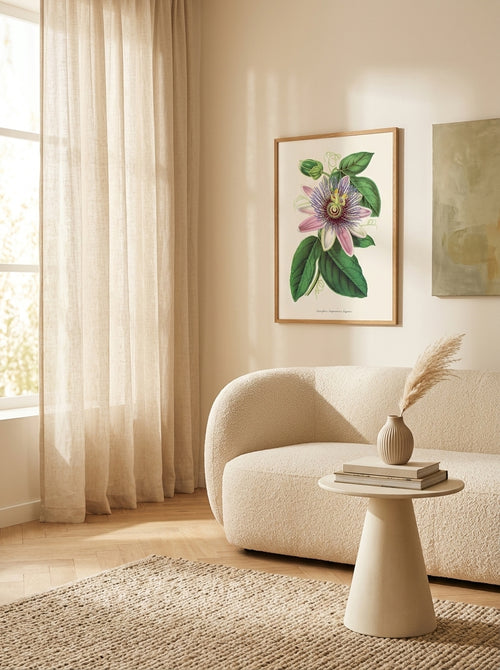 Sciences Naturelles - Passiflora Imperatrice Eugenie