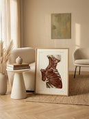 Sciences Naturelles - Anatomie Pl44 Buste D'homme