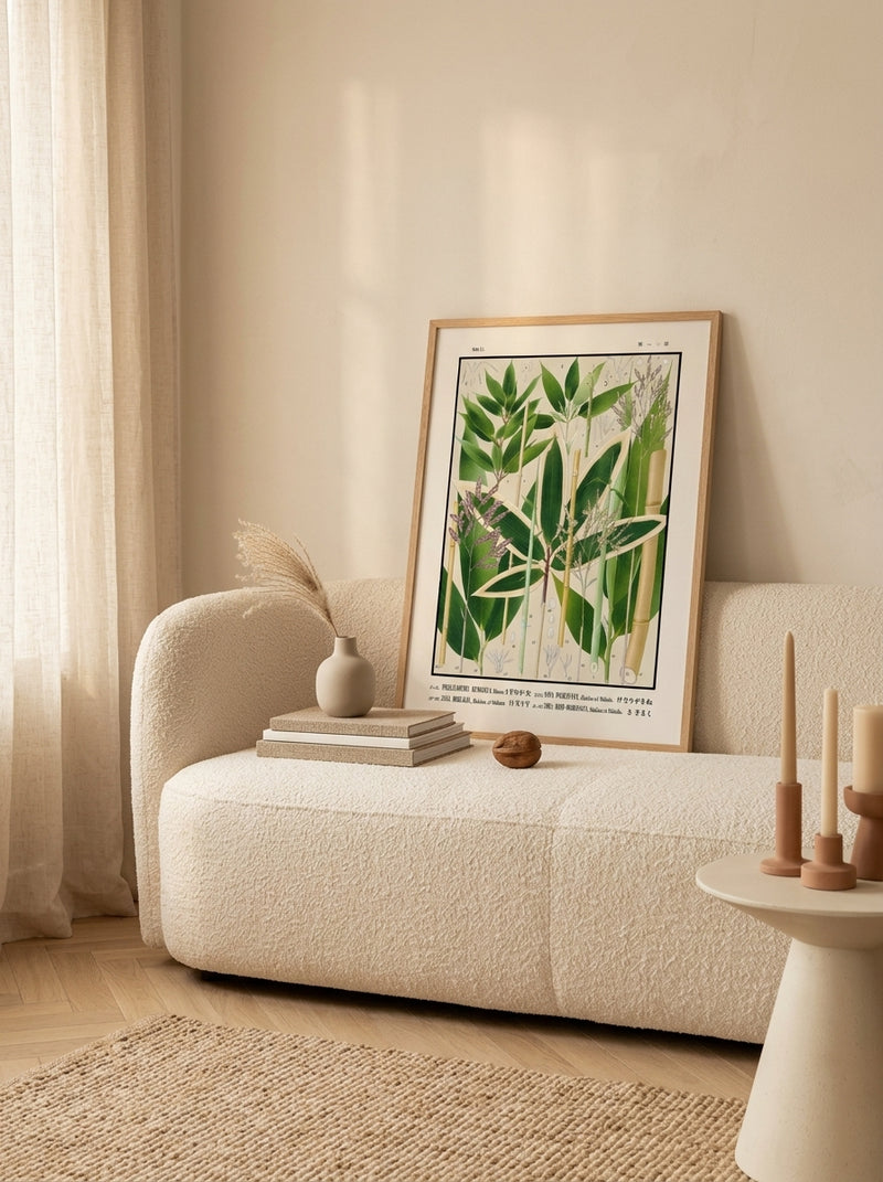 Sciences Naturelles - Tab 11,Phyllistachys Kumasasa (Icones Of The Bamboos Of Japan)