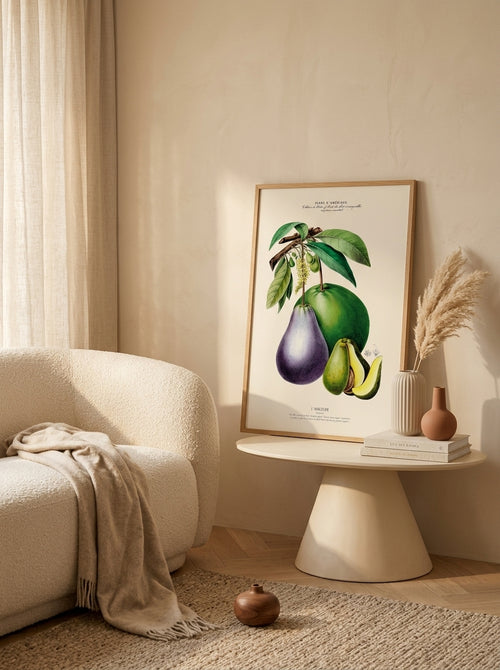 Sciences Naturelles - L'avocatier,Flore D'Amérique