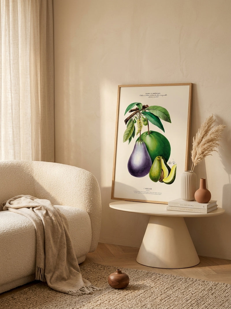 Sciences Naturelles - L'avocatier,Flore D'Amérique