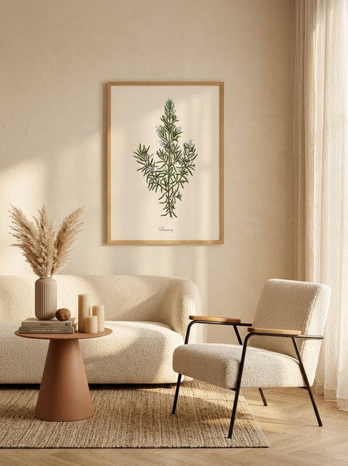Sciences Naturelles - Rosemary,Romarin