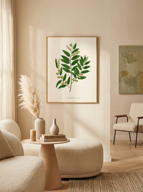Sciences Naturelles - The Wild Olive Tree,L'Olivier Sauvage