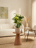 White Anthurium – Indoor Plant