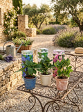 Mélange De 3 Hortensias Blanc, Rose Et Bleu – Plante D'Extérieur