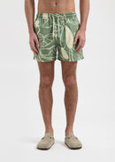 Short De Bain Plants - Green