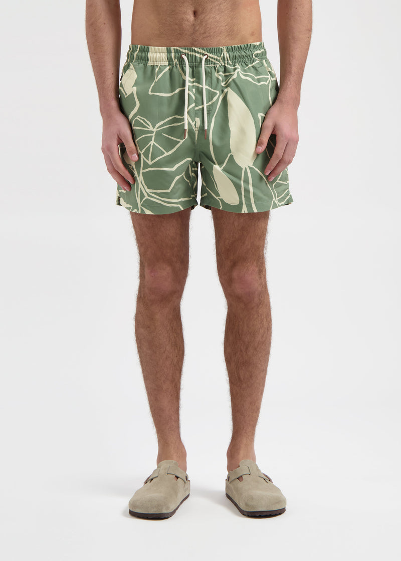 Short De Bain Plants - Green