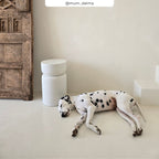 table basse blanche petite table d appoint tahiti