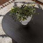 Sam - Oval Coffee Table - Wood - Black