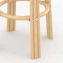 Vania Bar Stool - Beige