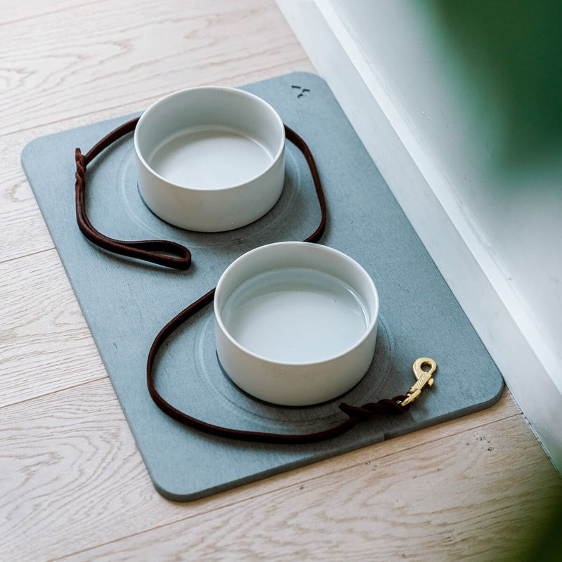 Tapis De Gamelles Chiens Et Chats En Pierre De Diatomite