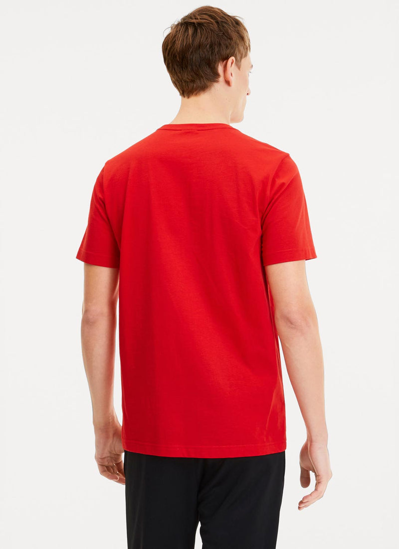 Puma - Tee-Shirt Teamgoal 23 - Rouge - Homme