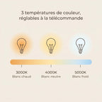 Libellule | Ventilador De Techo – Ø 137 Cm