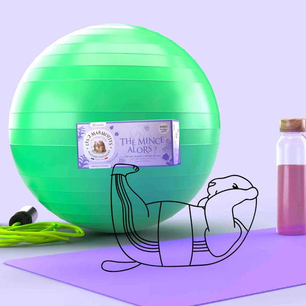 Thé Mince Alors ? Bio - 30 Sachets