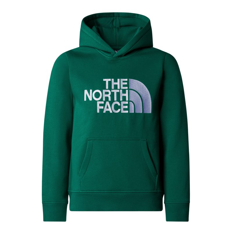 Sudadera con capucha Drew Peak P/O - Verde - Hombre