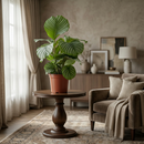 Calathea Orbifolia – Planta pavo real | Maceta 21 cm, Altura 60 cm