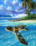 Peinture Par Numéros - Tortue Détendue