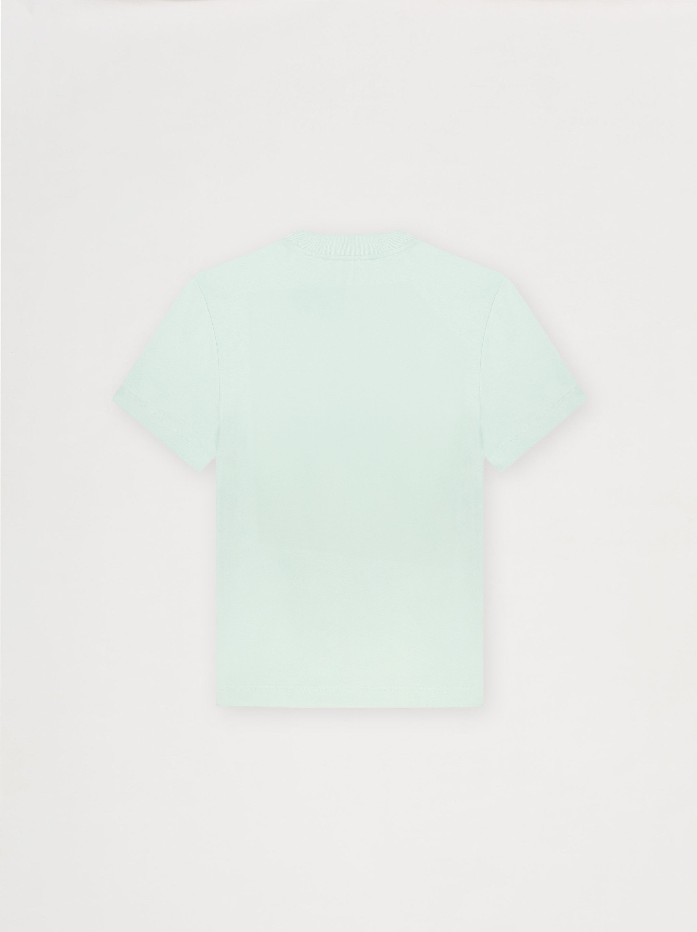 T-Shirt Unisexe Coup De Pinceau Vert D'Eau
