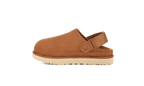 Goldenstar Clog Chestnut - Marron